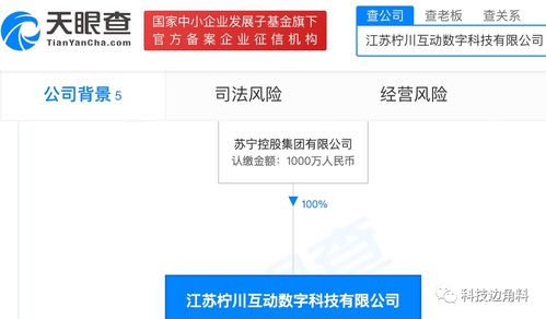 蘇寧控股成立檸川互動數字公司，布局健身休閑與數字文化創意服務