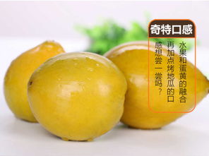 海南雞蛋果（蛋黃果） 應季熱帶珍果，孕婦營養佳選
